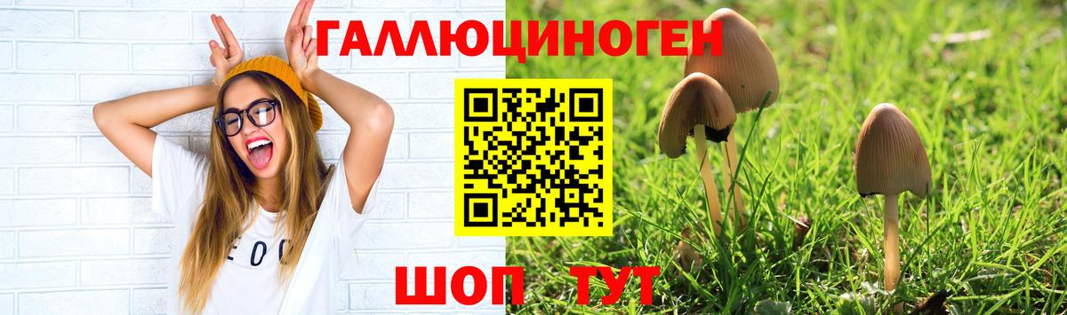 Кстово  Псилоцибиновые грибы мицелий  Вход с VPN 
